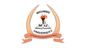 Mzumbe University Internship Opportunities 2026